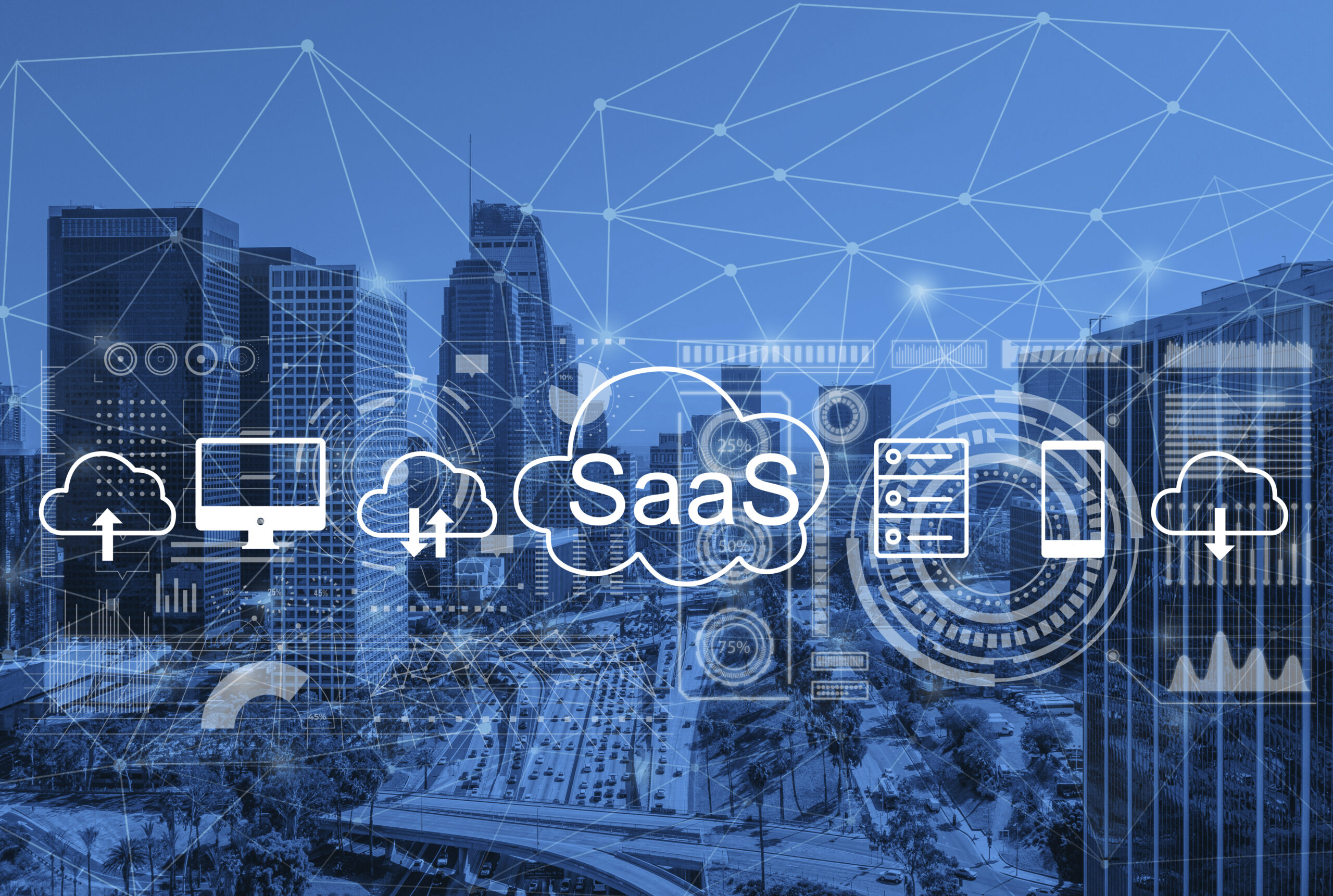 Information Architecture saas